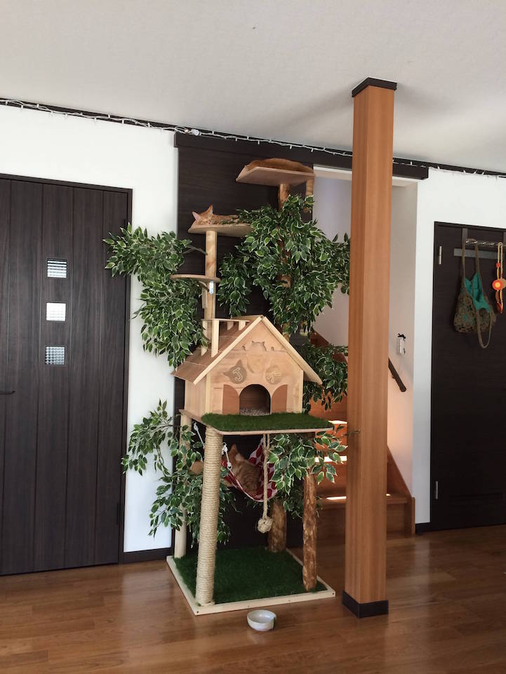Cat treehouse with a hammock